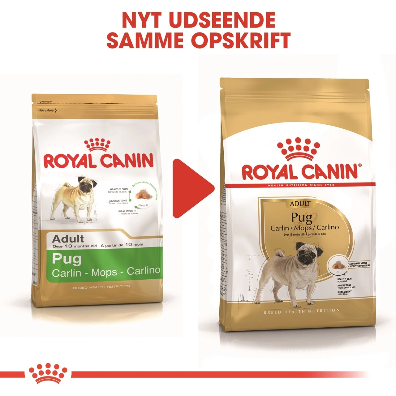 Royal Canin Pug Adult 1,5 kg - tørfoder til mops